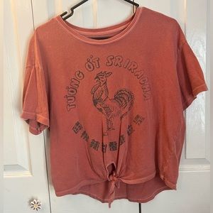 American Eagle Crop Top